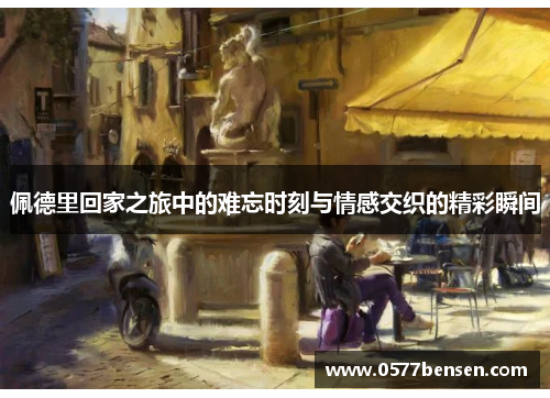 佩德里回家之旅中的难忘时刻与情感交织的精彩瞬间