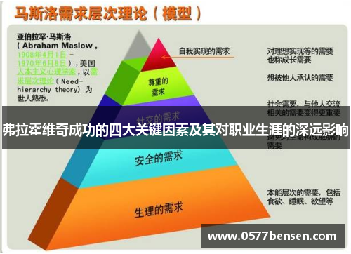 弗拉霍维奇成功的四大关键因素及其对职业生涯的深远影响